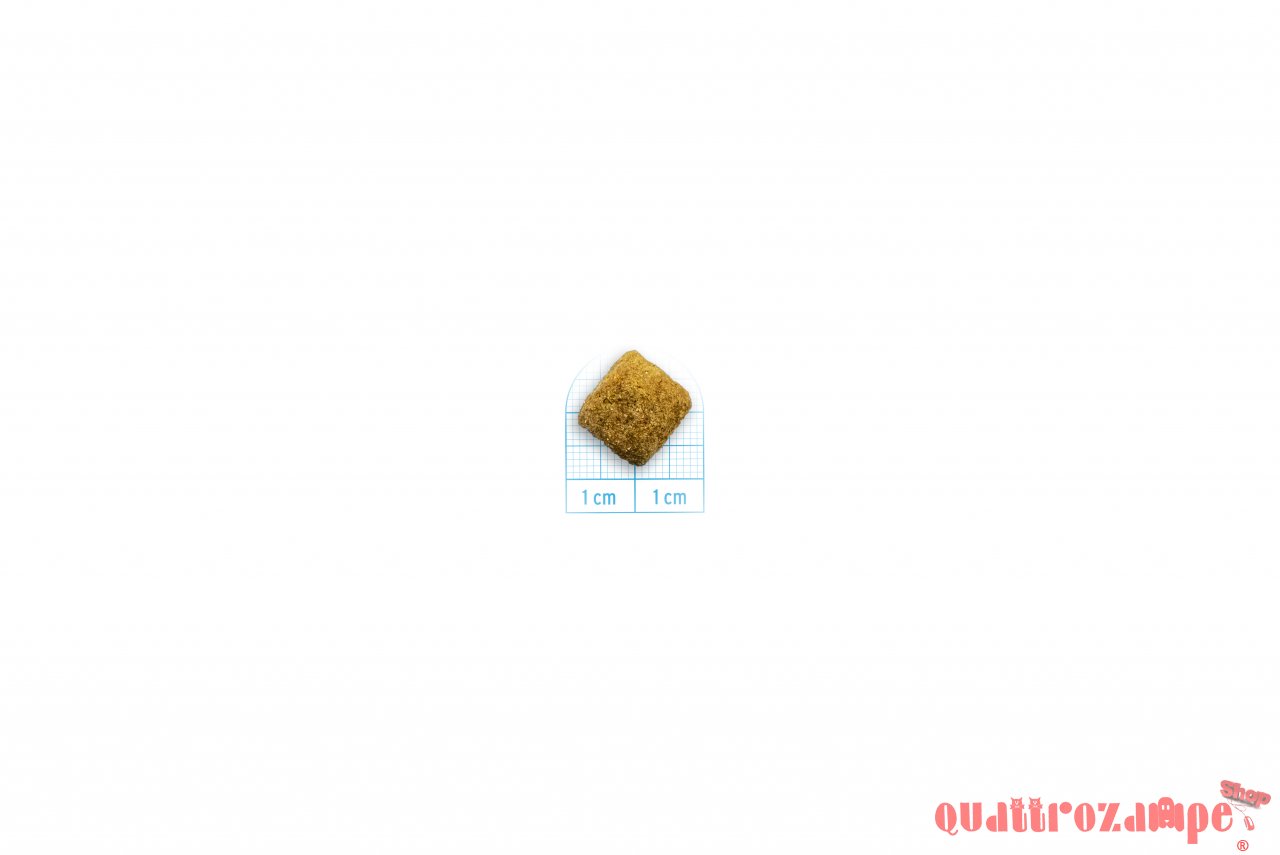 Forza 10 Active Vet Diet Gastroenteric Low Fat 4 kg Crocchette Per Cani