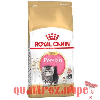 Royal Canin Kitten Persian 10 kg Per Gattini Persiani