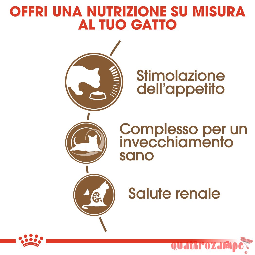 Royal Canin Senior Ageing Crocchette Gatto Anziano