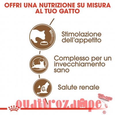 Royal Canin Senior Ageing Crocchette Gatto Anziano