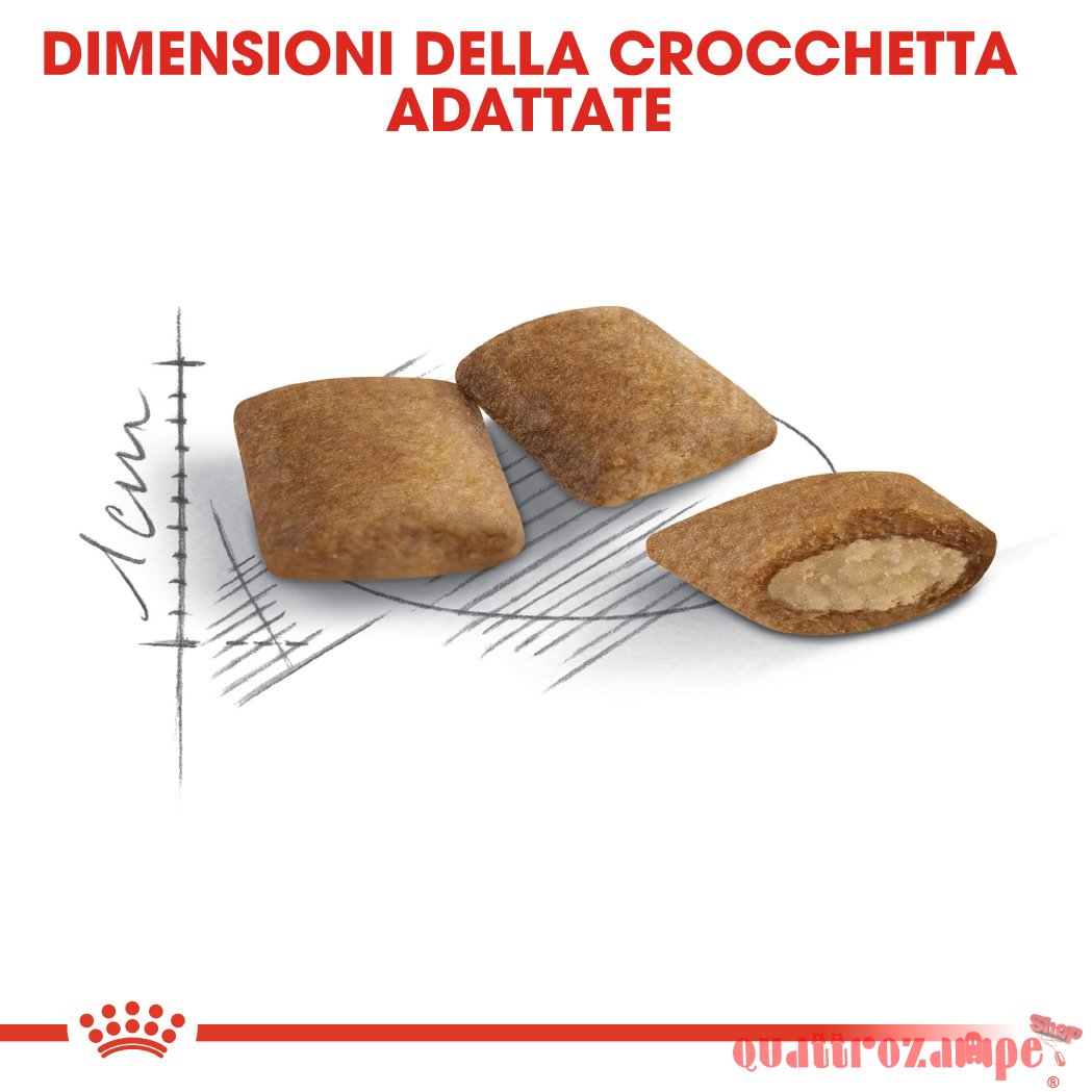 Royal Canin Senior Ageing Crocchette Gatto Anziano