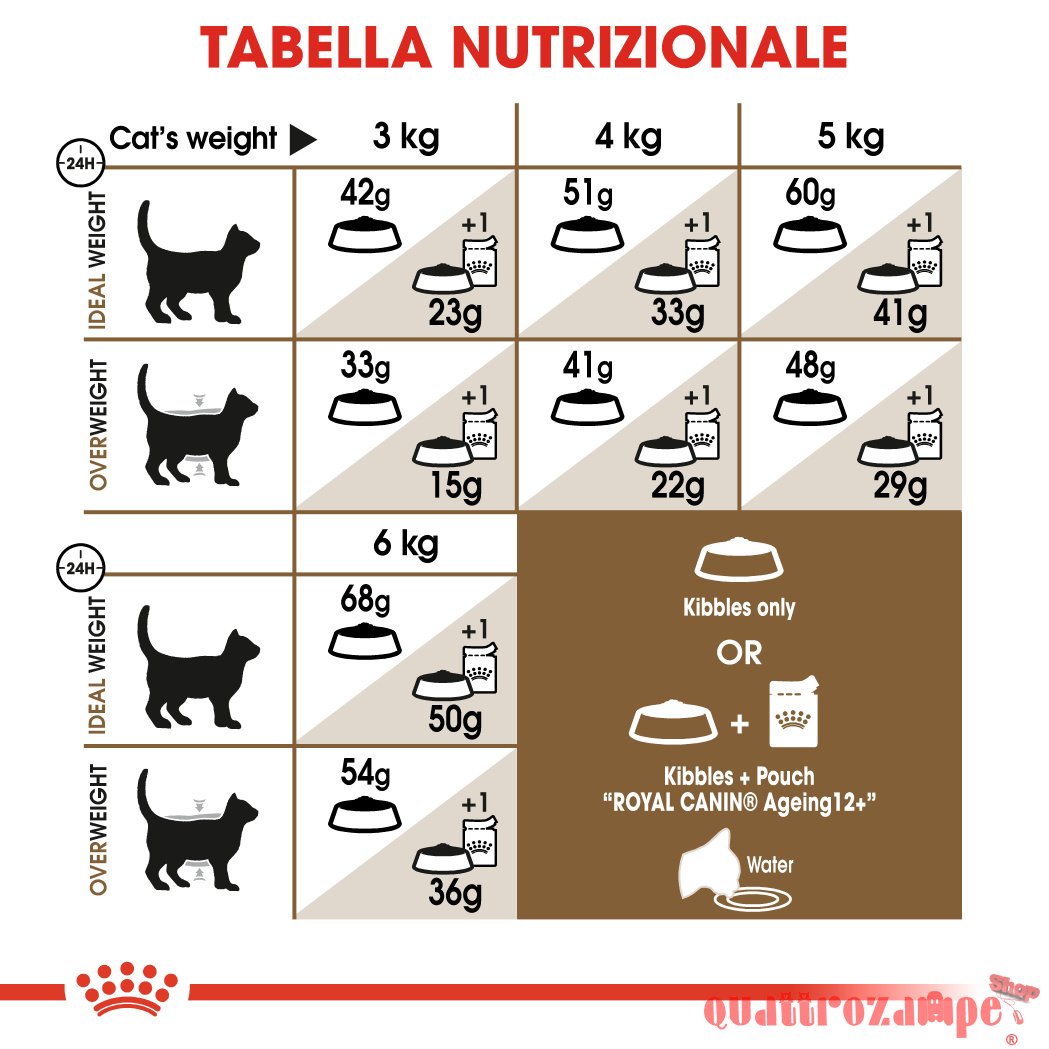 Royal Canin Senior Ageing Crocchette Gatto Anziano