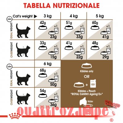 Royal Canin Senior Ageing Crocchette Gatto Anziano