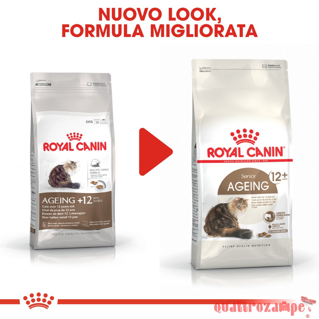 Royal Canin Senior Ageing Crocchette Gatto Anziano