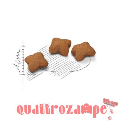 Royal Canin Kitten Gatto Cibo Per Gatti Cuccioli