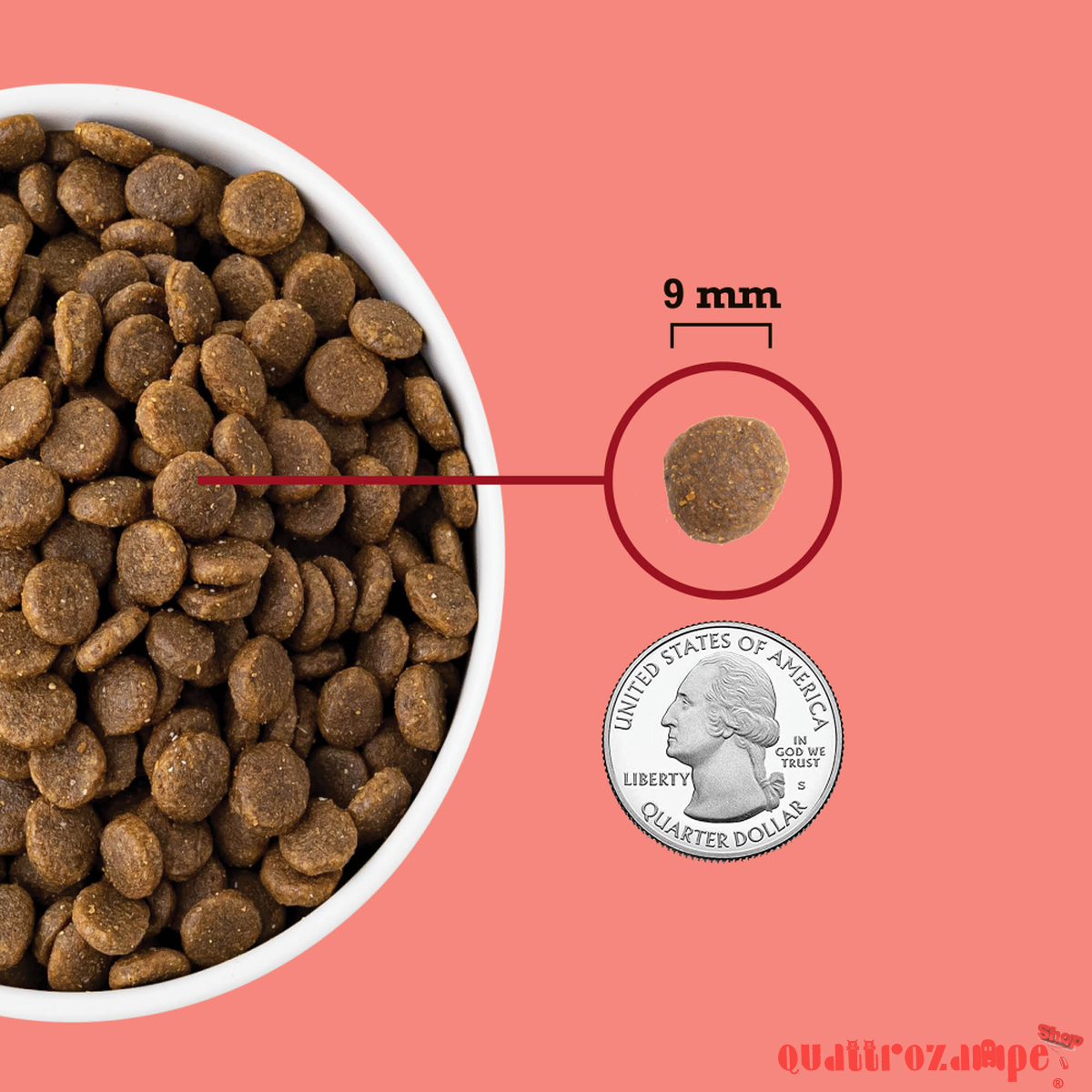 Acana Cat Indoor Highest Protein 1,8 kg Crocchette Gatti