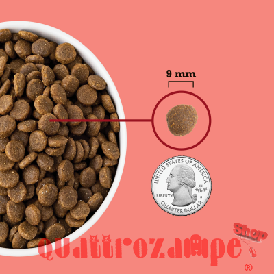 Acana Cat Indoor Highest Protein 1,8 kg Crocchette Gatti