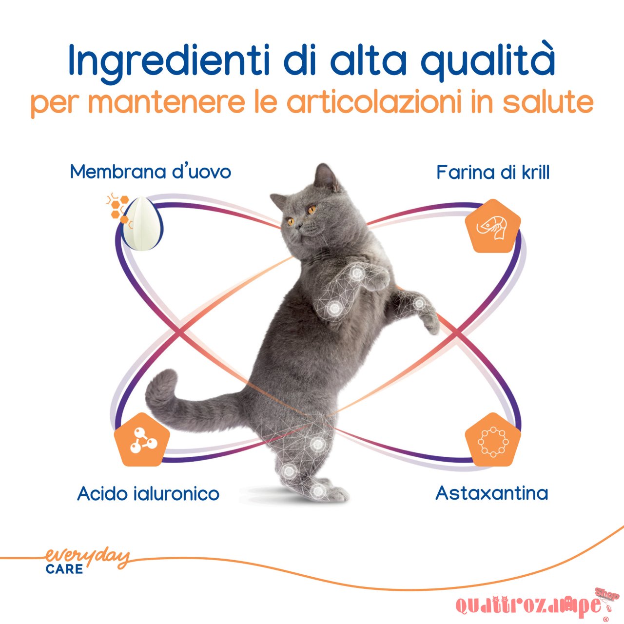 Virbac Movoflex Soft Chew 30 Compresse Masticabili Per Gatti