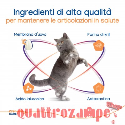 Virbac Movoflex Soft Chew 30 Compresse Masticabili Per Gatti