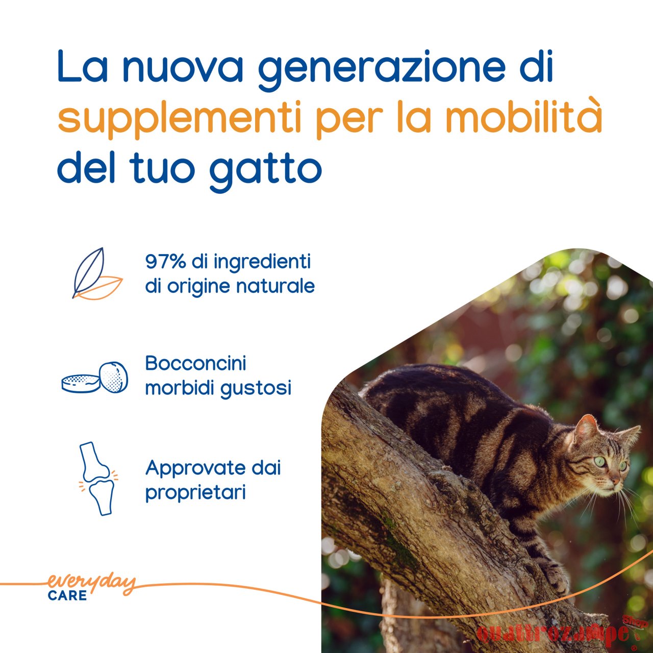 Virbac Movoflex Soft Chew 30 Compresse Masticabili Per Gatti