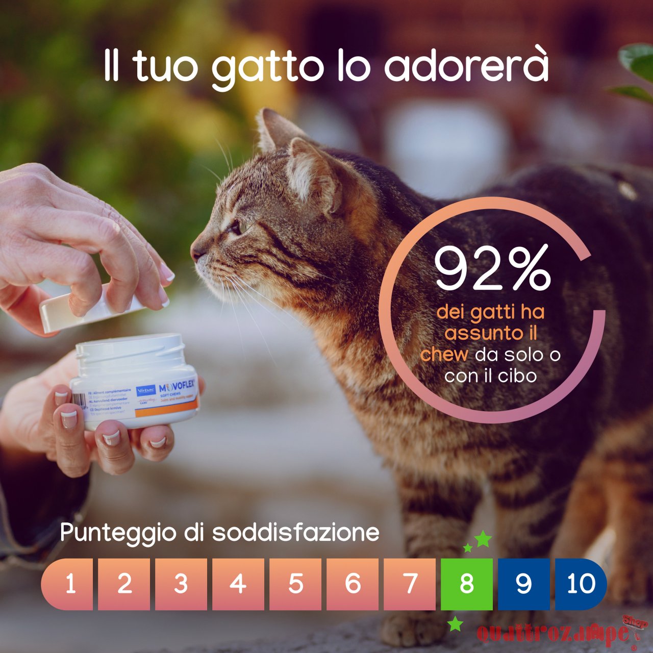 Virbac Movoflex Soft Chew 30 Compresse Masticabili Per Gatti