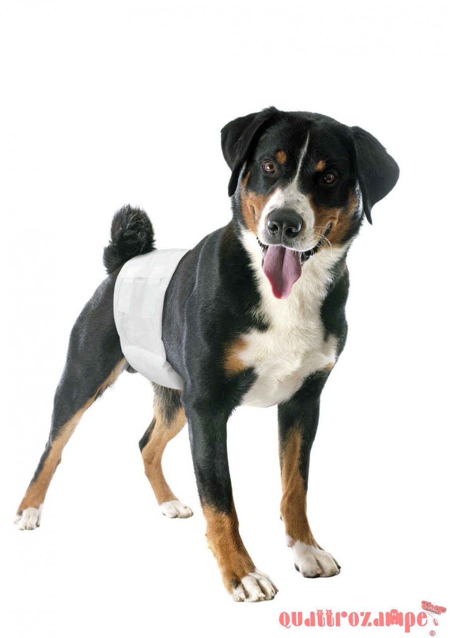 Camon Pannolini Super Assorbenti Fascia Elastica Per Cani Maschi