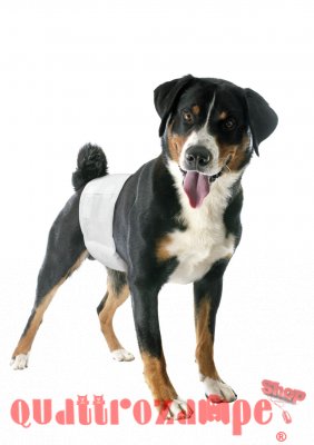Camon Pannolini Super Assorbenti Fascia Elastica Per Cani Maschi