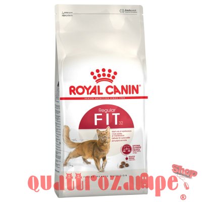 Royal Canin Fit 32 Crocchette Per Gatti