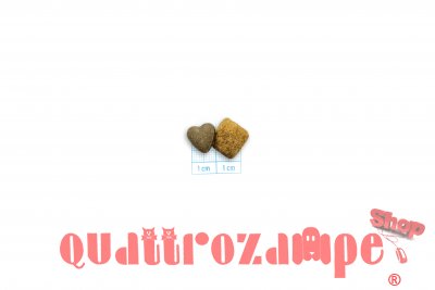 Forza 10 Active Vet Diet Intestinal 4 kg Crocchette Per Cane