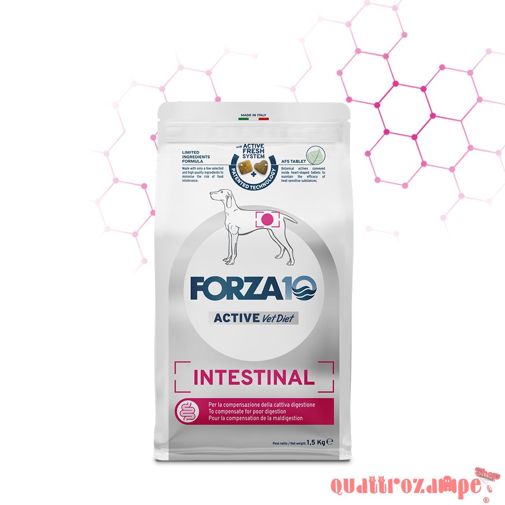 Forza 10 Active Vet Diet Intestinal 4 kg Crocchette Per Cane