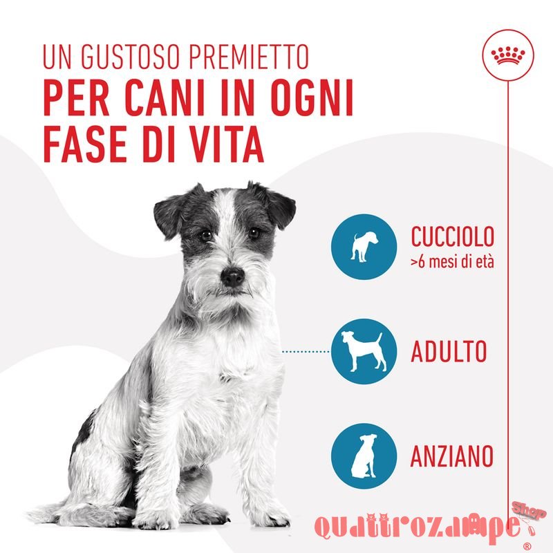 Royal Canin Training Treats 110 g Snack cane