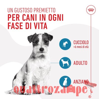 Royal Canin Training Treats 110 g Snack cane