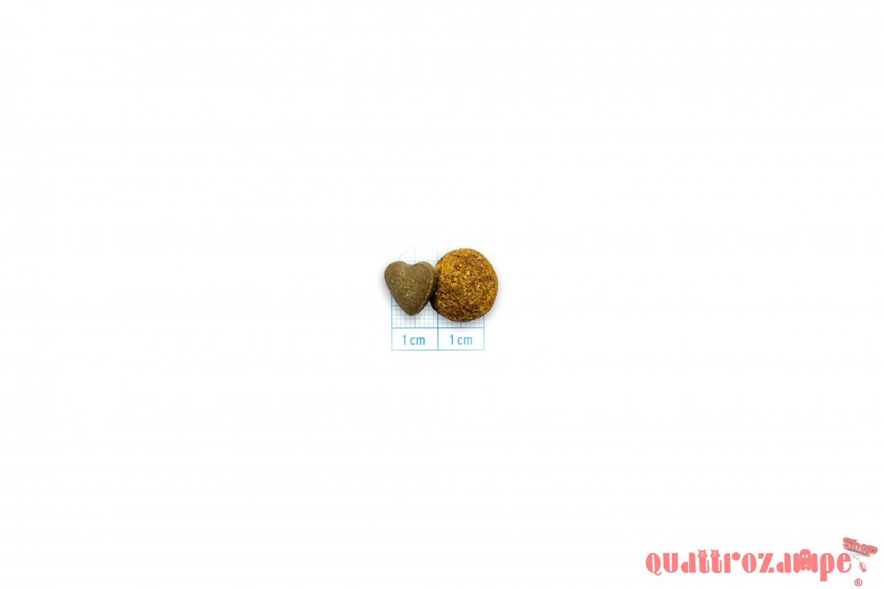 Forza 10 Active Vet Diet Hypoallergenic 1,5 kg Per Gatti