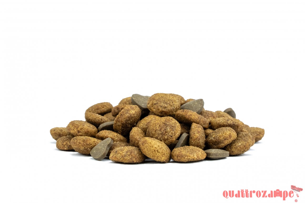 Forza 10 Active Vet Diet Hypoallergenic 1,5 kg Per Gatti