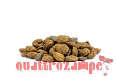 Forza 10 Active Vet Diet Hypoallergenic 1,5 kg Per Gatti