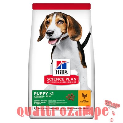 Hill's Science Plan Cane Puppy Medium Breed Pollo