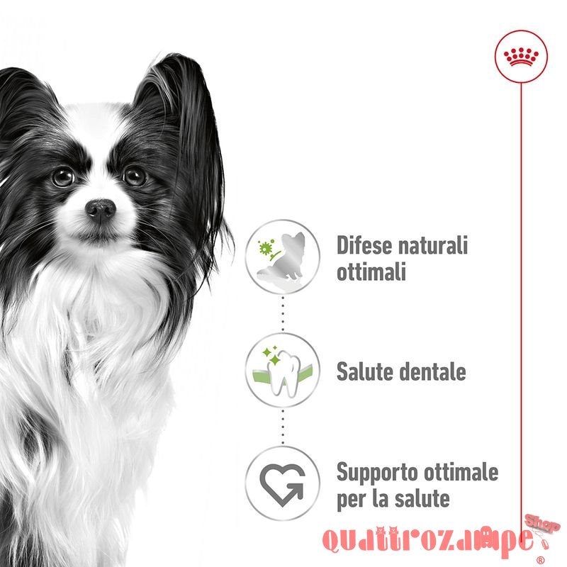Royal Canin X Small Adult 1,5 kg per Cani Adulti