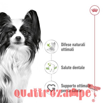 Royal Canin X Small Adult 1,5 kg per Cani Adulti