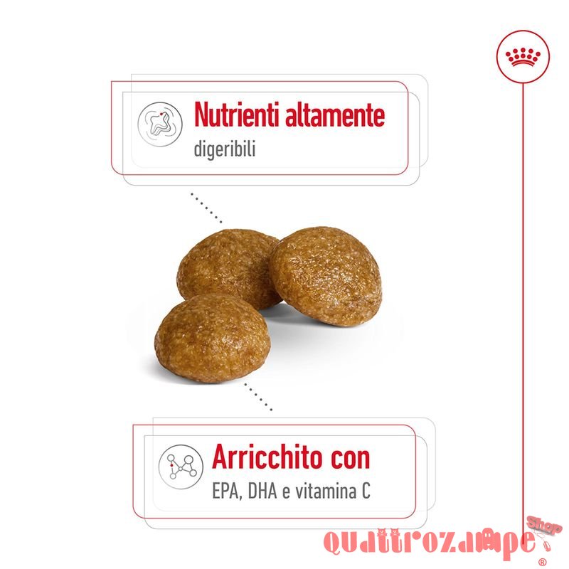 Royal Canin X Small Adult 1,5 kg per Cani Adulti