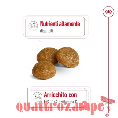 Royal Canin X Small Adult 1,5 kg per Cani Adulti