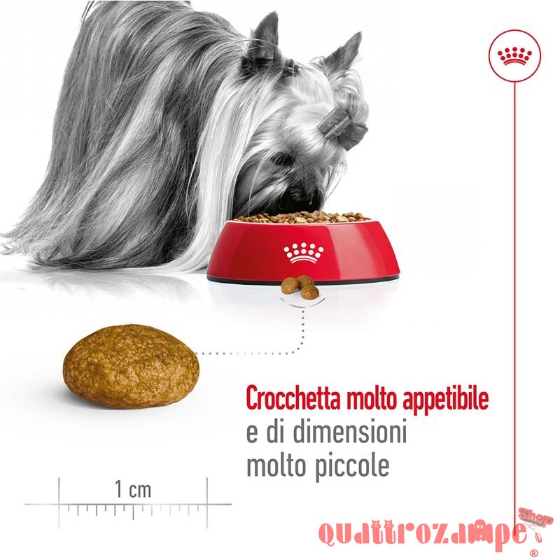 Royal Canin X Small Adult 1,5 kg per Cani Adulti