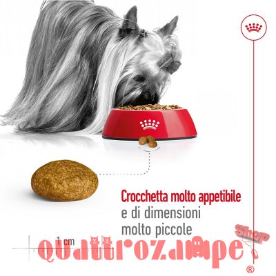 Royal Canin X Small Adult 1,5 kg per Cani Adulti