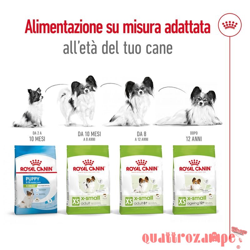 Royal Canin X Small Adult 1,5 kg per Cani Adulti