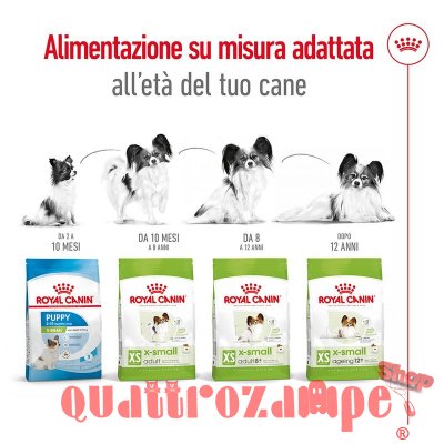 Royal Canin X Small Adult 1,5 kg per Cani Adulti