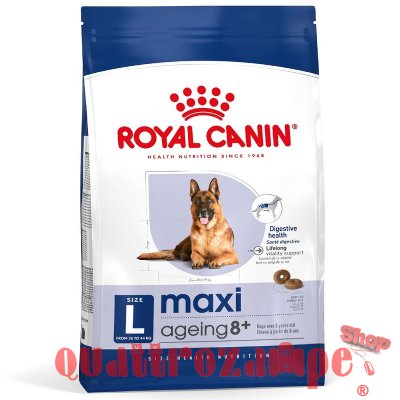 Royal Canin Maxi Ageing 8 + CIbo Secco Per Cani