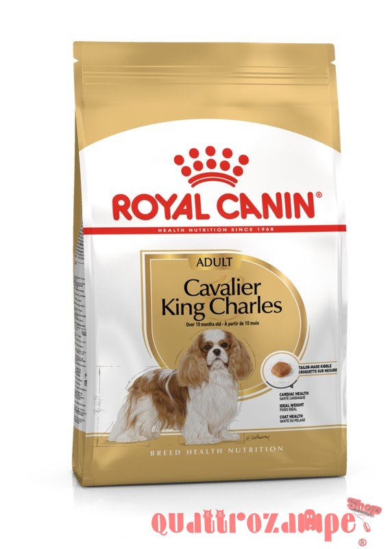 Royal Canin Cavalier King Charles Adult per Cani