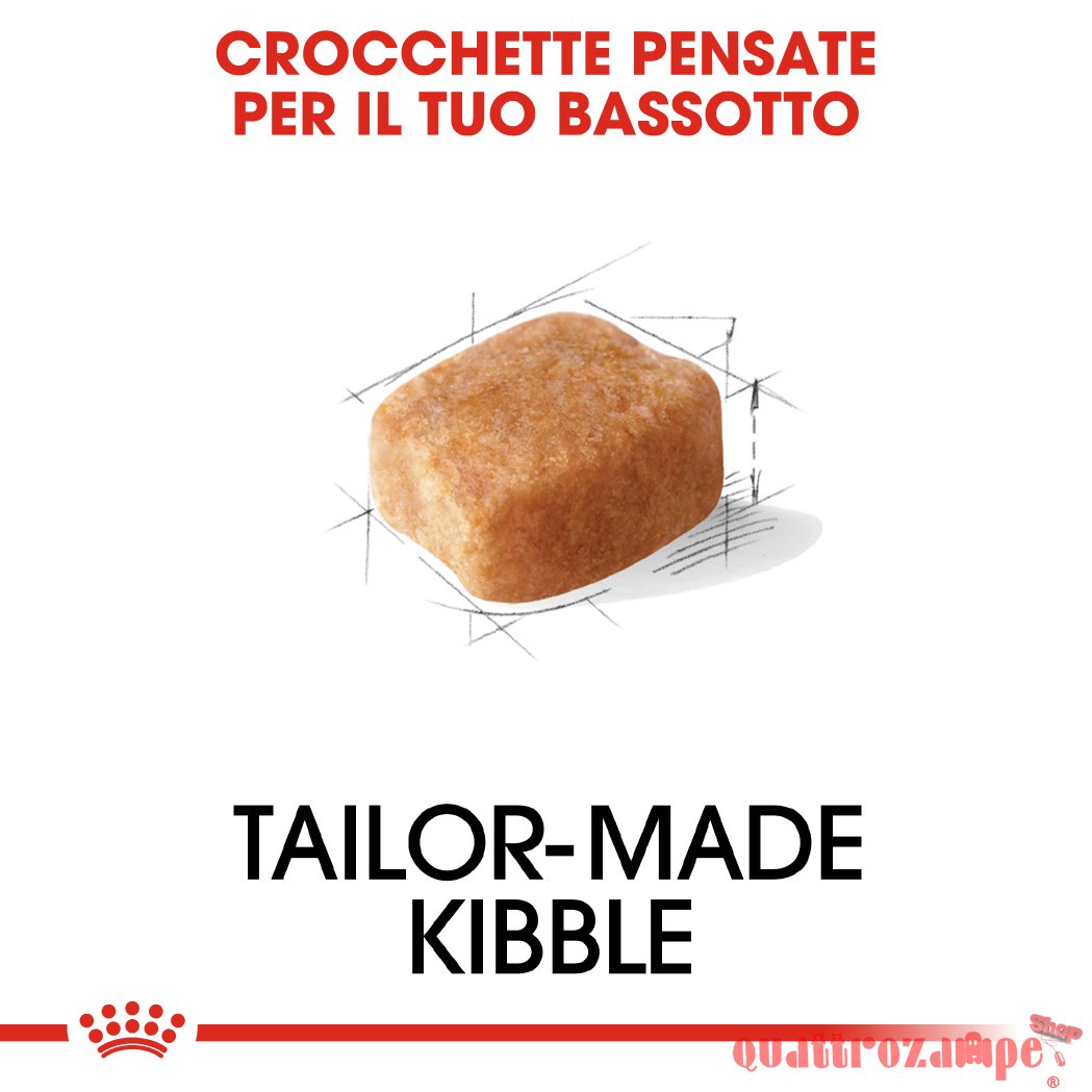 Royal Canin Dachshund Adult 1,5 kg Per Cane Bassotto