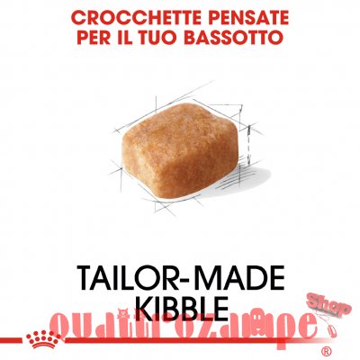 Royal Canin Dachshund Adult 1,5 kg Per Cane Bassotto