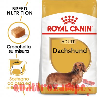 Royal Canin Dachshund Adult 1,5 kg Per Cane Bassotto