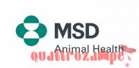 MSD Intervet