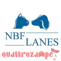 Nbf Lanes