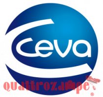 Ceva